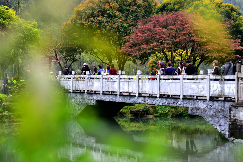 清明游玩黃龍洞，不負(fù)滿園好春光（組圖）